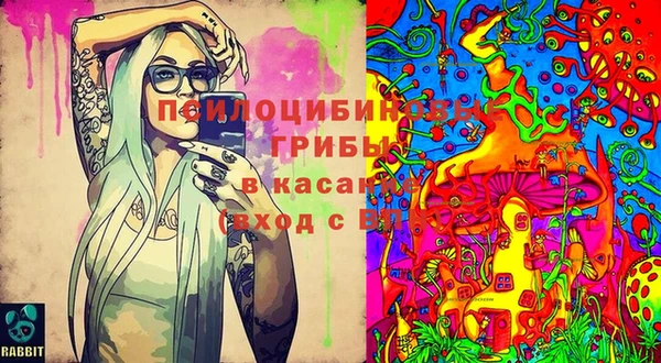 таблы Белокуриха