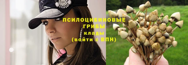 таблы Белокуриха
