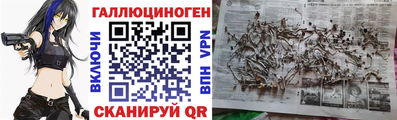 Галлюциногенные грибы мухоморы  Куровское 